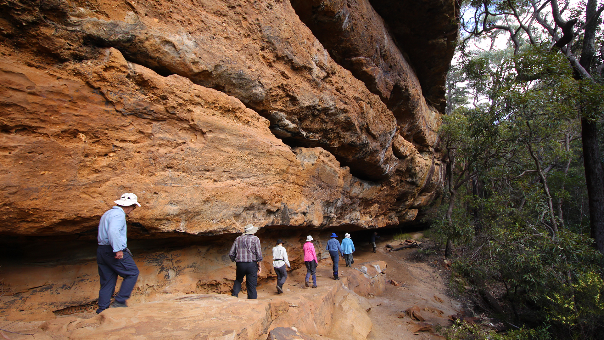 There are a huge number of overhangs in the Shoalhaven